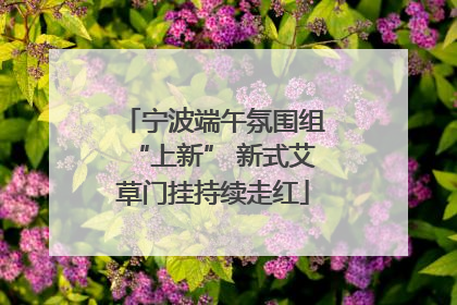 宁波端午氛围组“上新” 新式艾草门挂持续走红