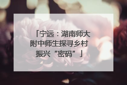 宁远：湖南师大附中师生探寻乡村振兴“密码”