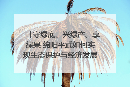 守绿底、兴绿产、享绿果 绵阳平武如何实现生态保护与经济发展双赢？｜新闻发布最前线·深一度