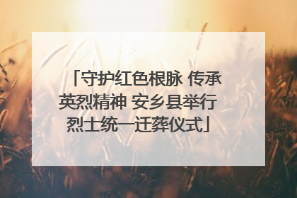 守护红色根脉 传承英烈精神 安乡县举行烈士统一迁葬仪式