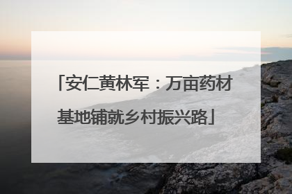 安仁黄林军：万亩药材基地铺就乡村振兴路