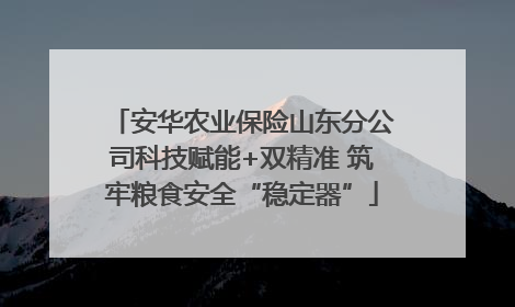 安华农业保险山东分公司科技赋能+双精准 筑牢粮食安全“稳定器”