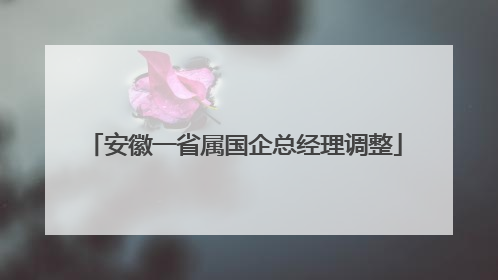 安徽一省属国企总经理调整