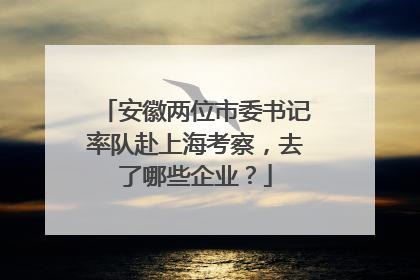 安徽两位市委书记率队赴上海考察，去了哪些企业？