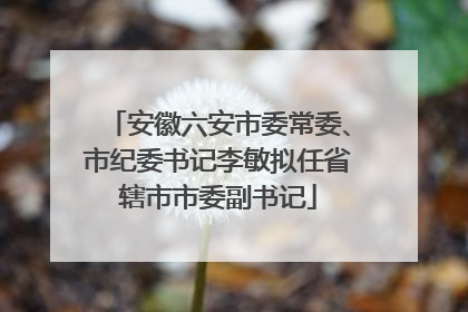 安徽六安市委常委、市纪委书记李敏拟任省辖市市委副书记