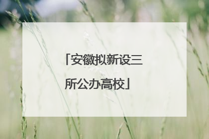安徽拟新设三所公办高校