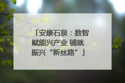 安康石泉：数智赋能兴产业 铺就振兴“新丝路”