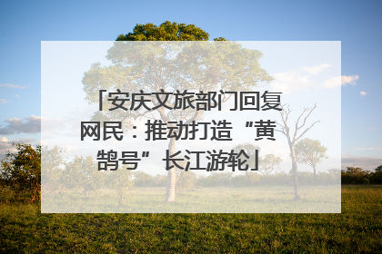 安庆文旅部门回复网民：推动打造“黄鹄号”长江游轮