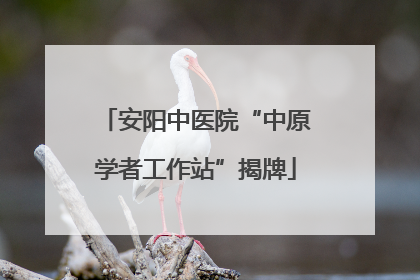 安阳中医院“中原学者工作站”揭牌