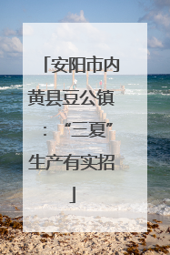安阳市内黄县豆公镇：“三夏”生产有实招