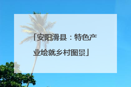 安阳滑县：特色产业绘就乡村图景