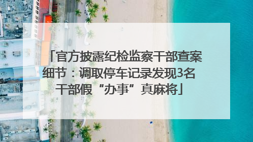 官方披露纪检监察干部查案细节：调取停车记录发现3名干部假“办事”真麻将