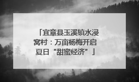 宜章县玉溪镇水浸窝村：万亩杨梅开启夏日“甜蜜经济”