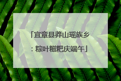 宜章县莽山瑶族乡：粽叶糍粑庆端午