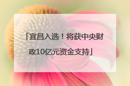 宜昌入选！将获中央财政10亿元资金支持