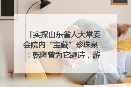 实探山东省人大常委会院内“宝藏”珍珠泉：乾隆曾为它题诗，游客无需预约免费游览