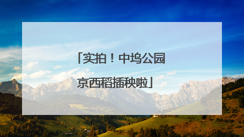 实拍！中坞公园京西稻插秧啦
