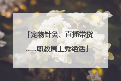 宠物针灸、直播带货……职教周上秀绝活