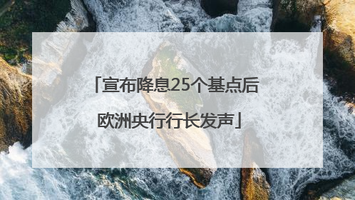 宣布降息25个基点后 欧洲央行行长发声