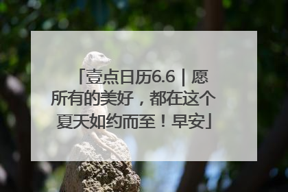 壹点日历6.6｜愿所有的美好，都在这个夏天如约而至！早安
