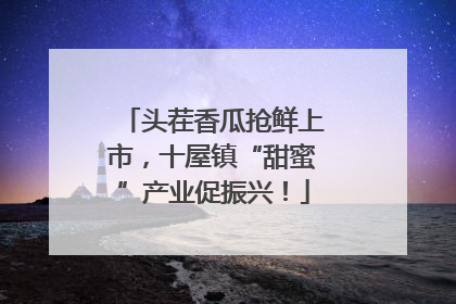 头茬香瓜抢鲜上市，十屋镇“甜蜜”产业促振兴！