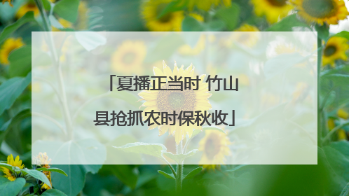 夏播正当时 竹山县抢抓农时保秋收