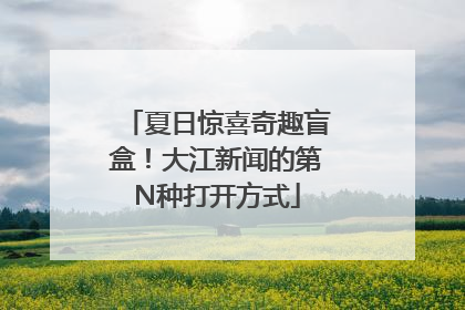 夏日惊喜奇趣盲盒！大江新闻的第N种打开方式