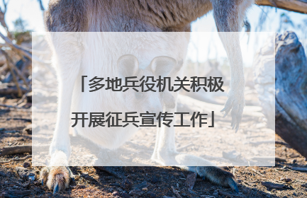 多地兵役机关积极开展征兵宣传工作