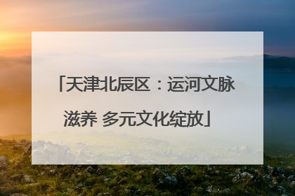 天津北辰区：运河文脉滋养 多元文化绽放