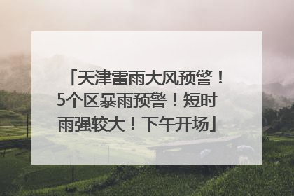 天津雷雨大风预警！5个区暴雨预警！短时雨强较大！下午开场