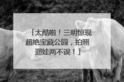 太酷啦！三明惊现超绝宝藏公园，拍照遛娃两不误！