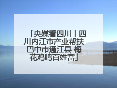 央媒看四川丨四川内江市产业帮扶巴中市通江县 梅花鸡鸣百姓富