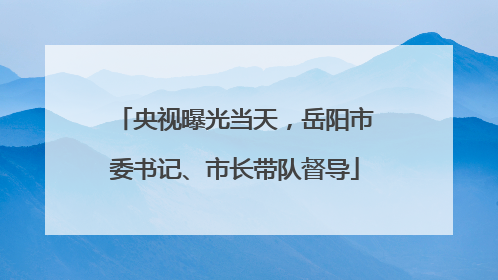 央视曝光当天，岳阳市委书记、市长带队督导