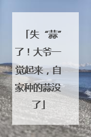 失“蒜”了！大爷一觉起来，自家种的蒜没了