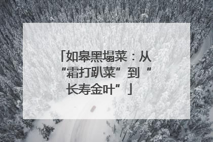 如皋黑塌菜：从“霜打趴菜”到“长寿金叶”