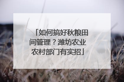 如何搞好秋粮田间管理？潍坊农业农村部门有实招