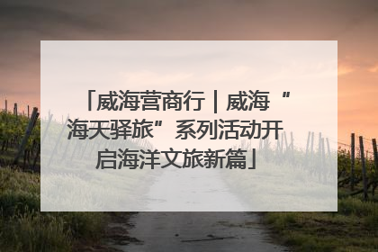 威海营商行｜威海“海天驿旅”系列活动开启海洋文旅新篇