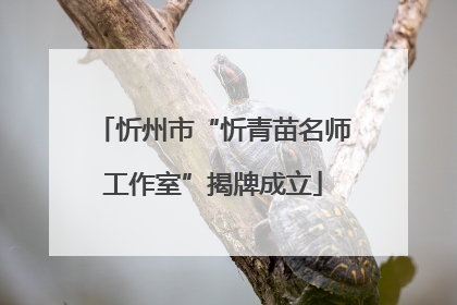 忻州市“忻青苗名师工作室”揭牌成立