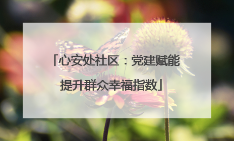 心安处社区：党建赋能 提升群众幸福指数