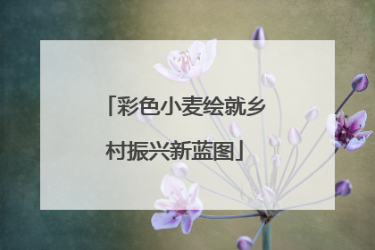 彩色小麦绘就乡村振兴新蓝图