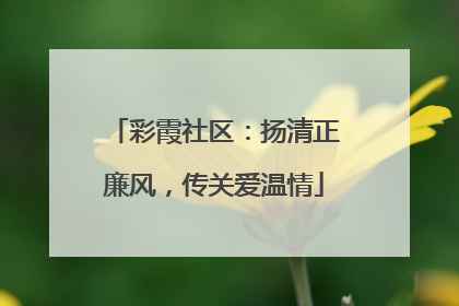 彩霞社区：扬清正廉风，传关爱温情