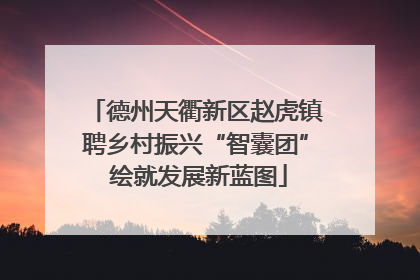 德州天衢新区赵虎镇聘乡村振兴“智囊团” 绘就发展新蓝图