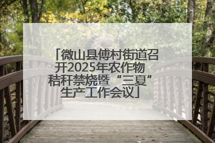 微山县傅村街道召开2025年农作物秸秆禁烧暨“三夏”生产工作会议