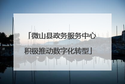微山县政务服务中心积极推动数字化转型