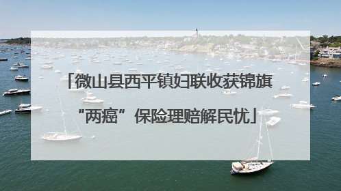 微山县西平镇妇联收获锦旗 “两癌”保险理赔解民忧