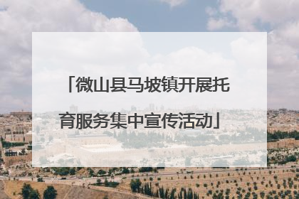 微山县马坡镇开展托育服务集中宣传活动