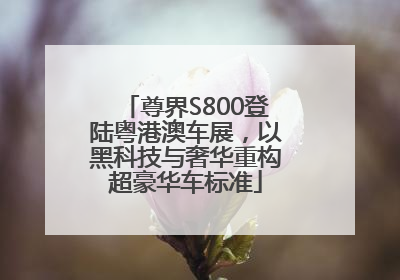 尊界S800登陆粤港澳车展，以黑科技与奢华重构超豪华车标准