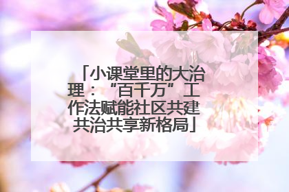 小课堂里的大治理：“百千万”工作法赋能社区共建共治共享新格局