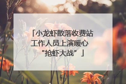 小龙虾散落收费站 工作人员上演暖心“抢虾大战”