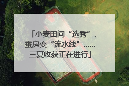 小麦田间“选秀”、蚕房变“流水线”……三夏收获正在进行
